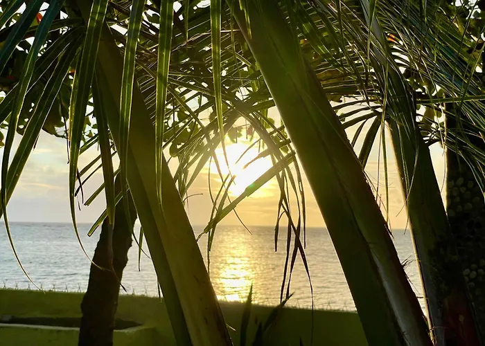 Paradise Escape Plan - Beach House